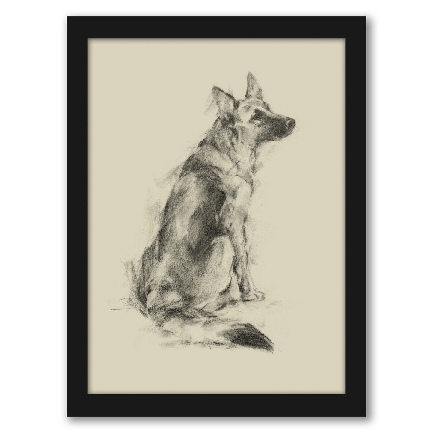 Puppy Dog Eyes V by Ethan Harper by World Art Group - Black Framed Print - Wall Art - Americanflat