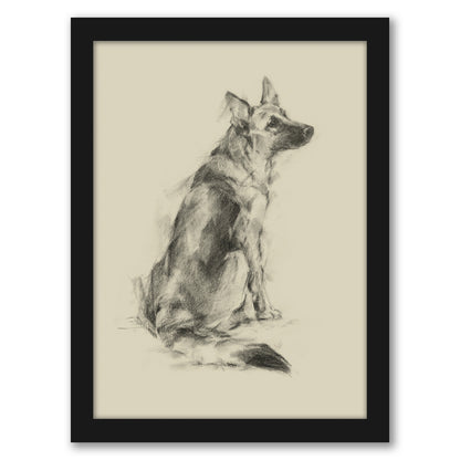 Puppy Dog Eyes V by Ethan Harper by World Art Group - Black Framed Print - Wall Art - Americanflat