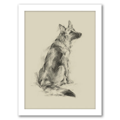 Puppy Dog Eyes V by Ethan Harper by World Art Group - Framed Print - Americanflat