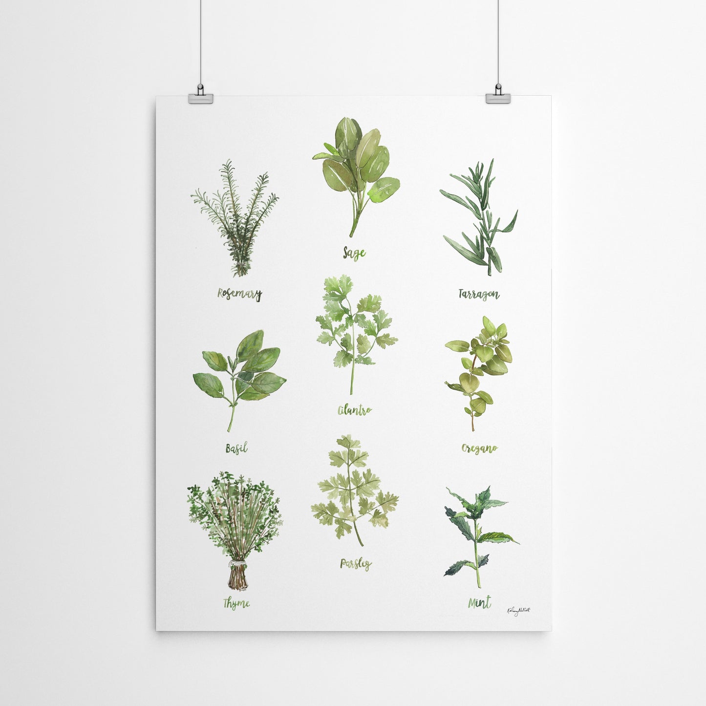 Herb Chart 1 by Kelsey Mcnatt - Art Print - Art Print - Americanflat