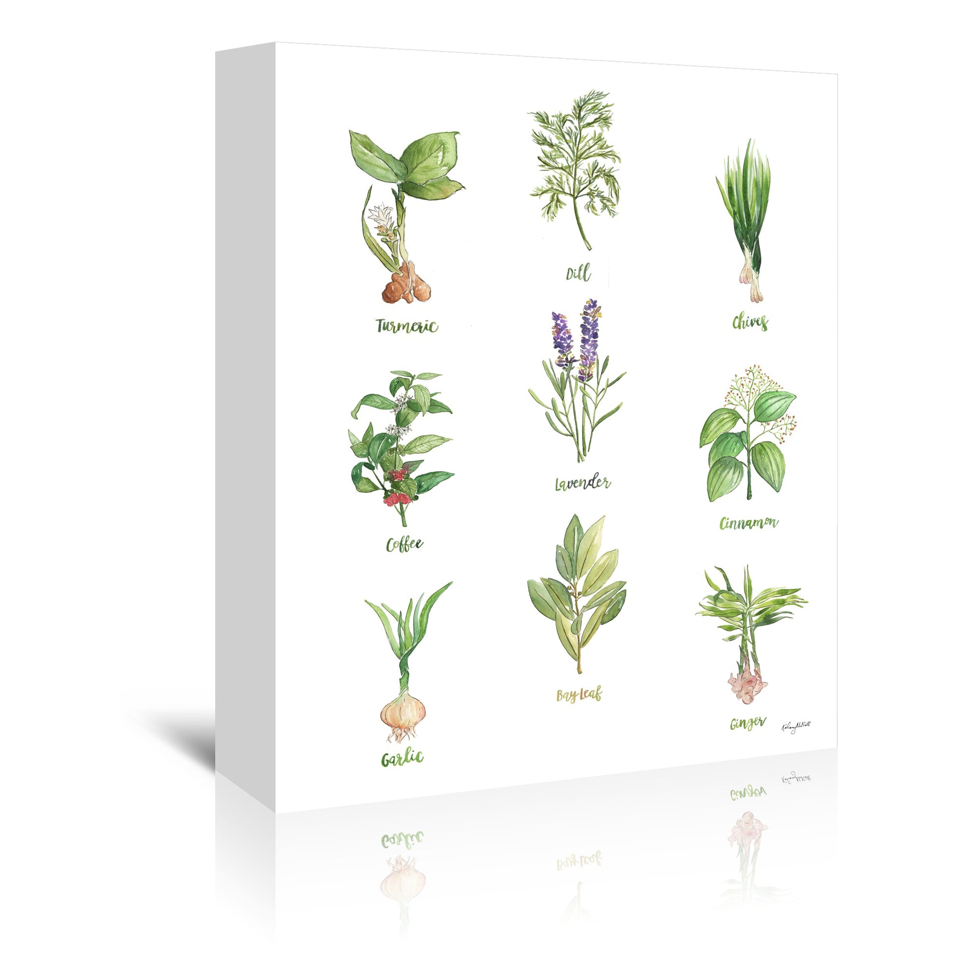 Herb Chart 2 by Kelsey Mcnatt - Wrapped Canvas - Wrapped Canvas - Americanflat