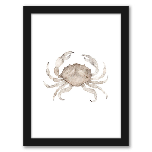 Crab by Antonia Jurgens - Framed Print - Americanflat