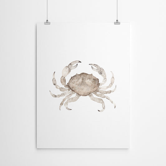 Crab by Antonia Jurgens - Poster, Poster, 22" X 28"