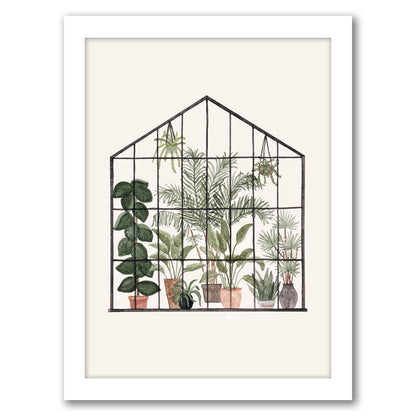Greenhouse by Antonia Jurgens - Framed Print - Americanflat