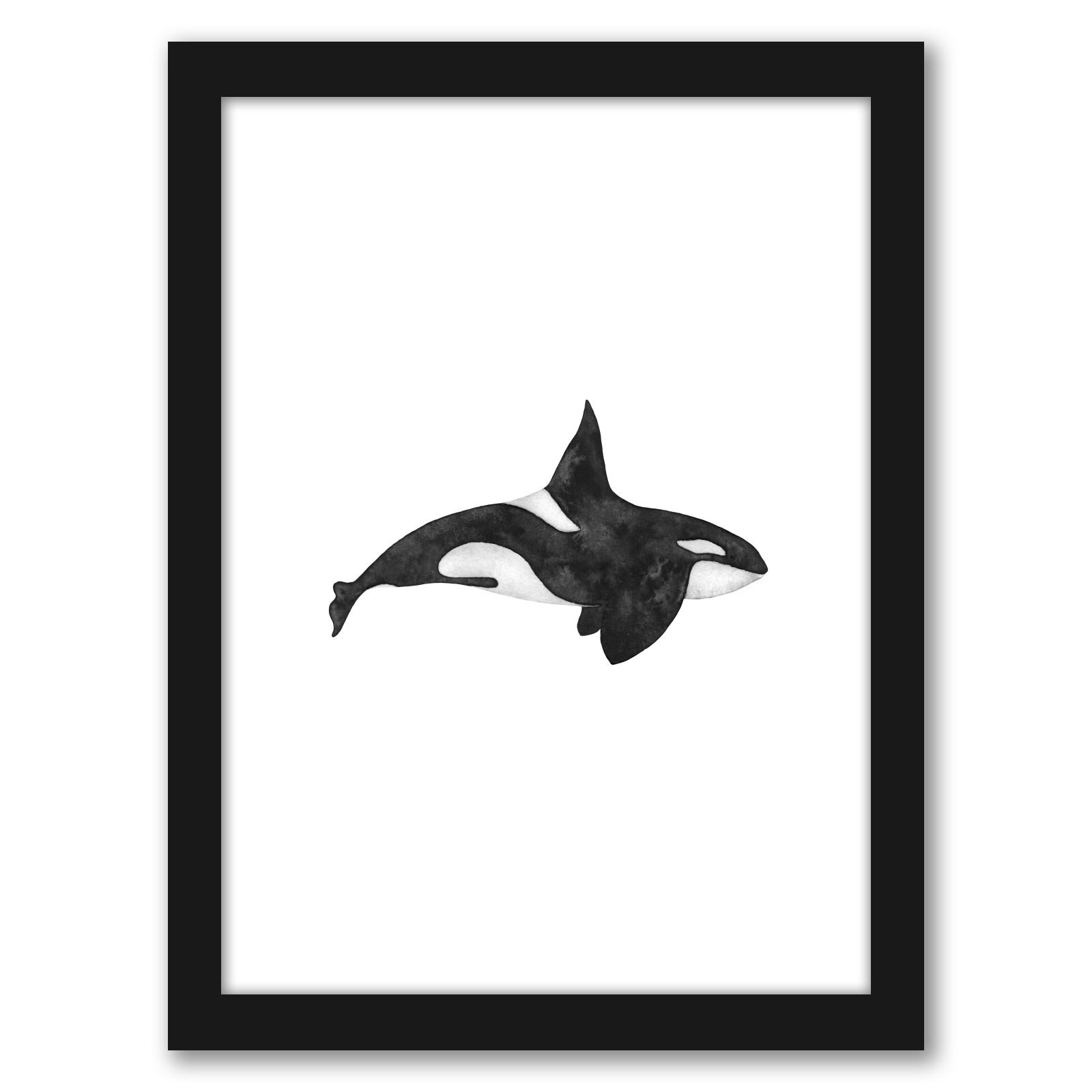 Orca by Antonia Jurgens - Framed Print - Americanflat