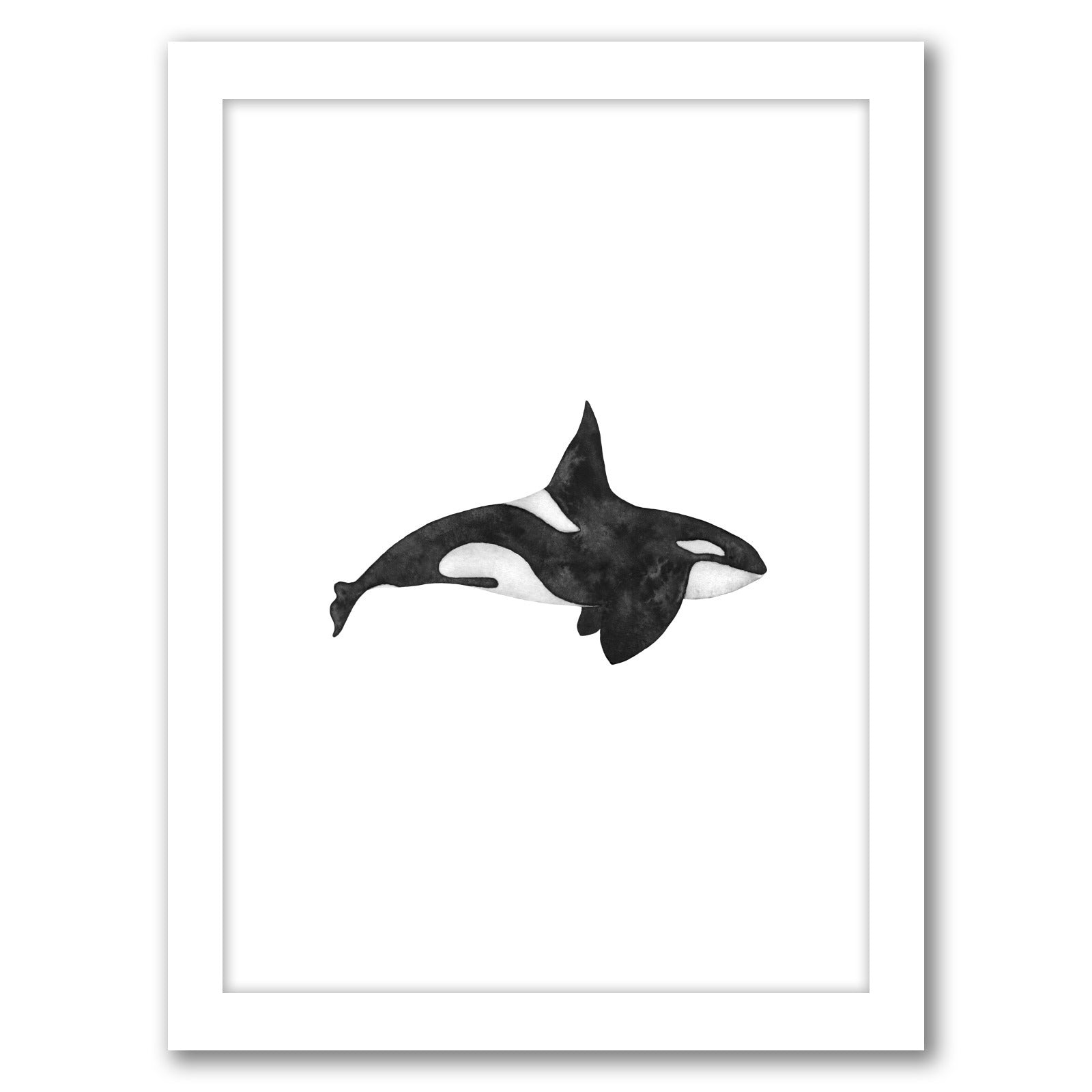 Orca by Antonia Jurgens - Framed Print - Americanflat