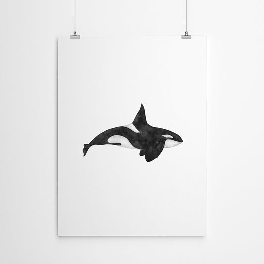 Orca by Antonia Jurgens - Poster, Poster, 22" X 28"