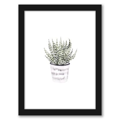 Potted Plant by Antonia Jurgens - Framed Print - Americanflat
