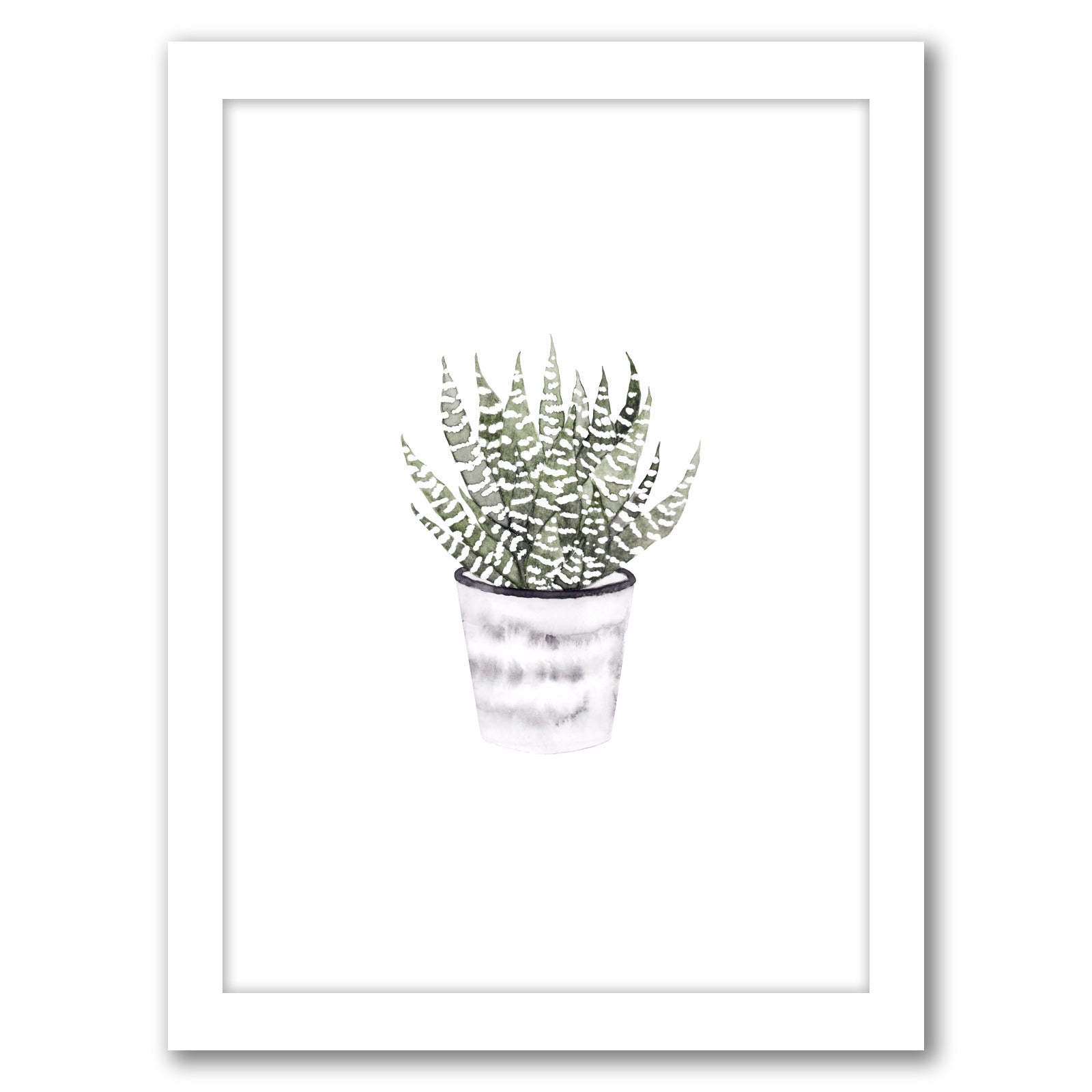 Potted Plant by Antonia Jurgens - Framed Print - Americanflat