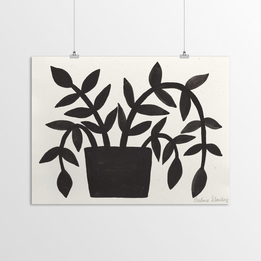 Black Plant Gouache by Pauline Stanley - Poster, Poster, 11" X 14"