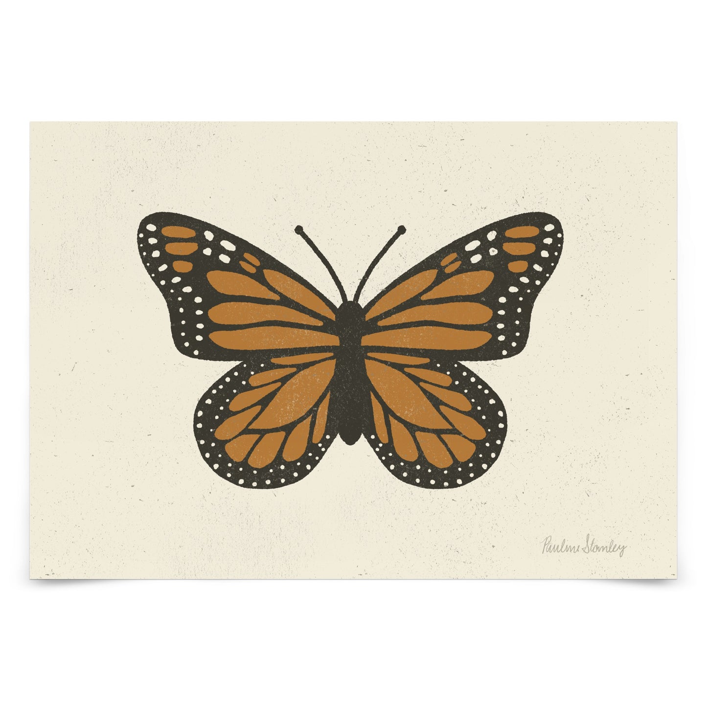 Monarch Butterfly by Pauline Stanley - Poster, Poster, 8" X 10"