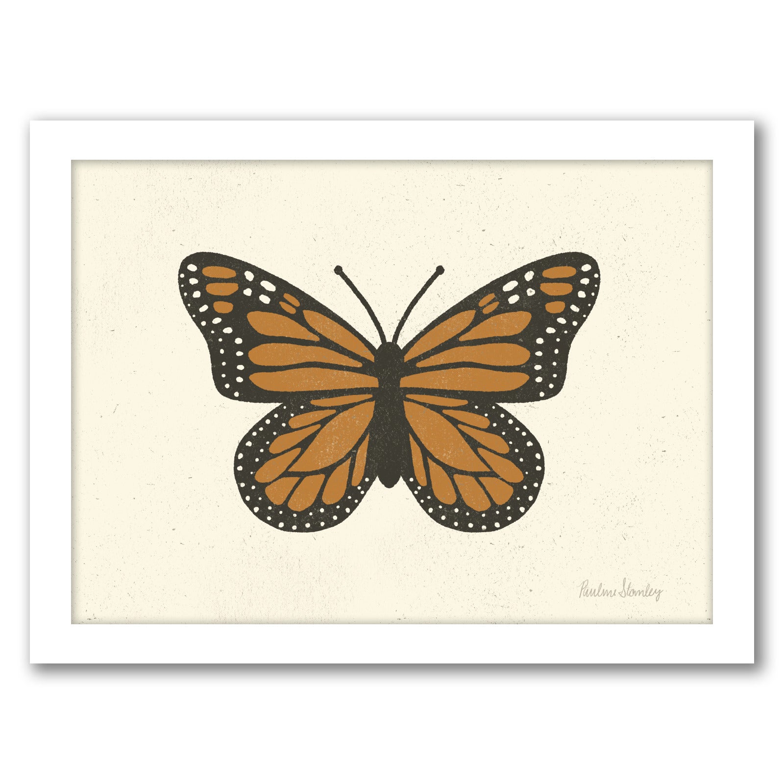 Monarch Butterfly by Pauline Stanley - White Frame, White Frame, 24" X 36"