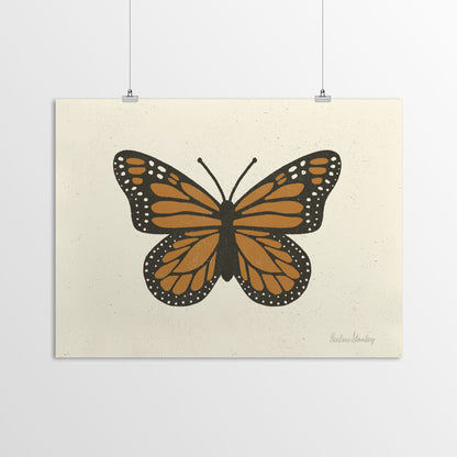 Monarch Butterfly by Pauline Stanley - Poster, Poster, 11" X 14"