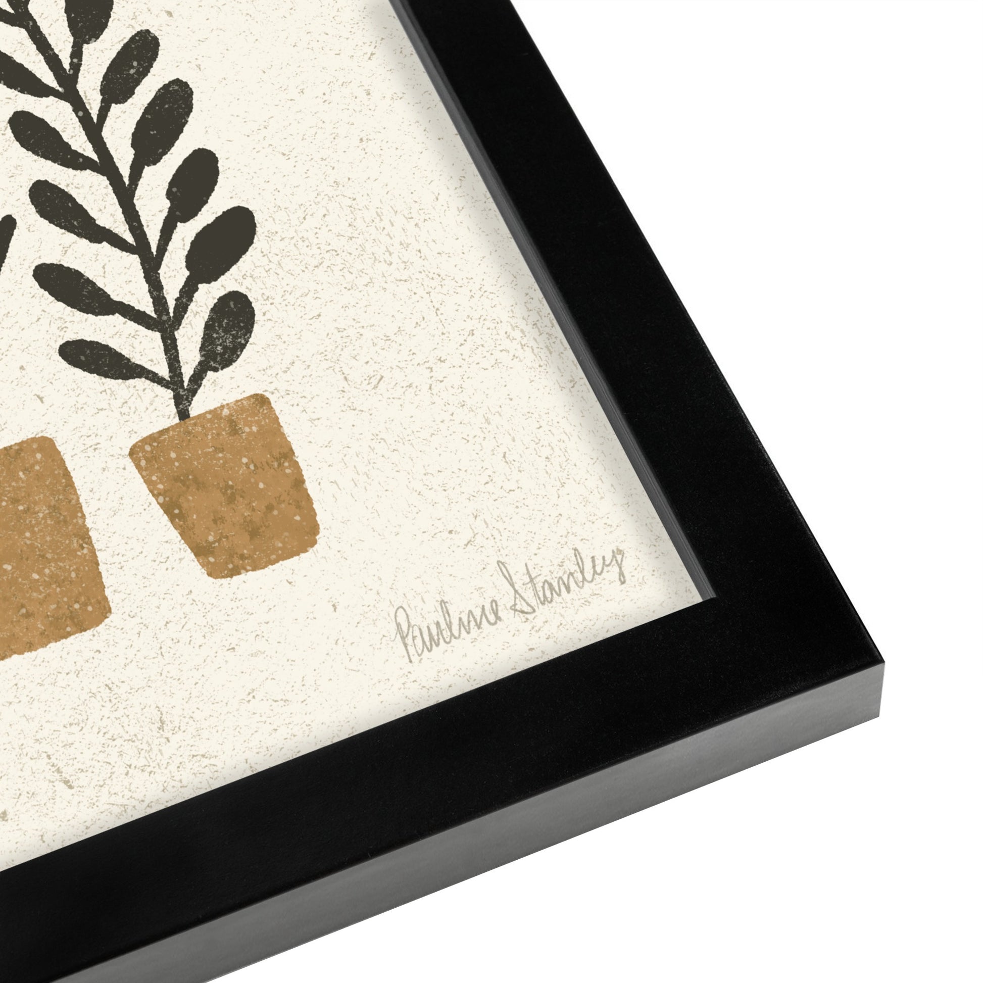 Potted Ferns Terracotta Black by Pauline Stanley - Framed Print - Americanflat