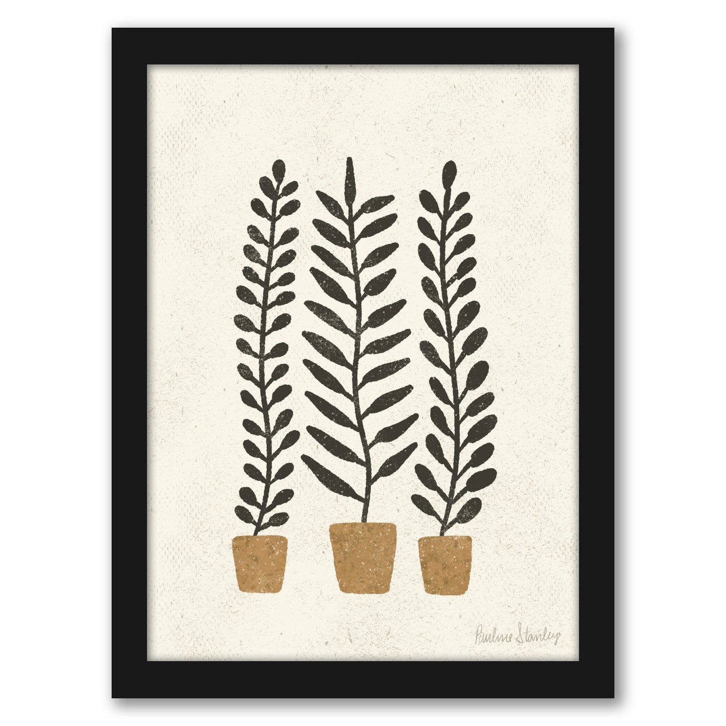 Potted Ferns Terracotta Black by Pauline Stanley - Framed Print - Americanflat