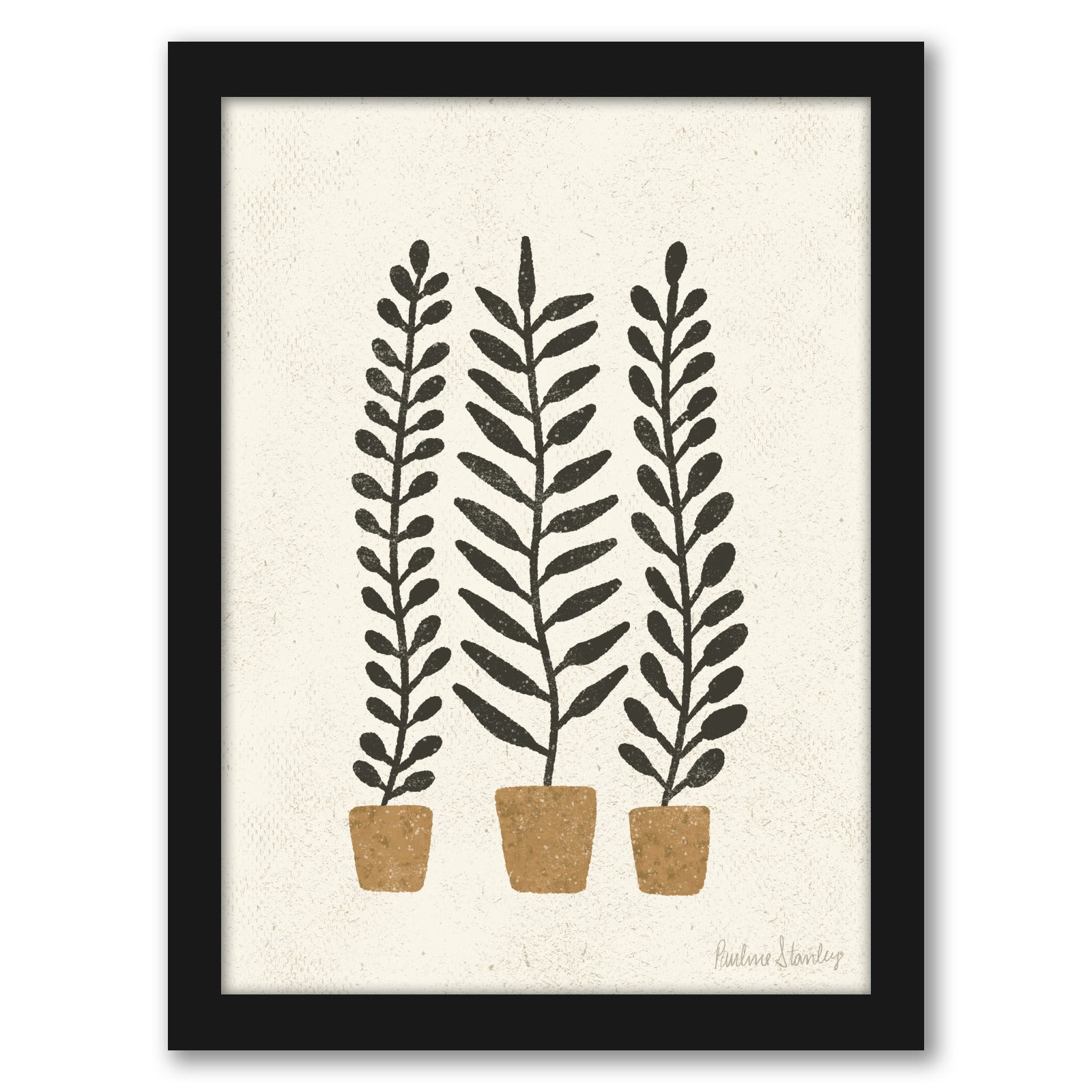 Potted Ferns Terracotta Black by Pauline Stanley - Framed Print - Americanflat
