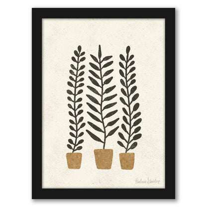 Potted Ferns Terracotta Black by Pauline Stanley - Framed Print - Americanflat