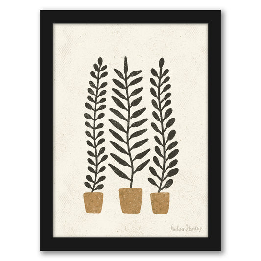 Potted Ferns Terracotta Black by Pauline Stanley - Framed Print - Americanflat