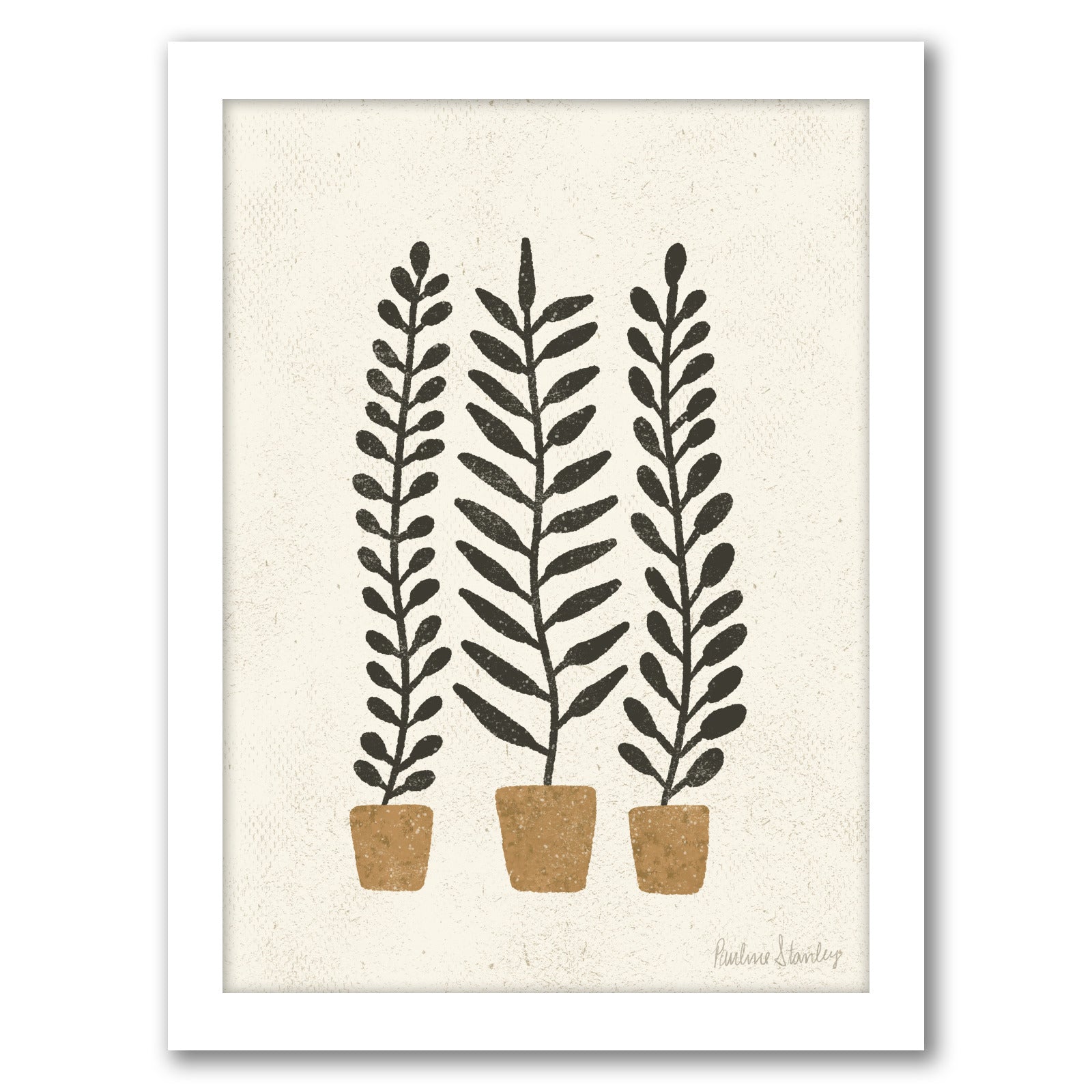 Potted Ferns Terracotta Black by Pauline Stanley - Framed Print - Americanflat