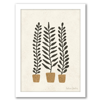 Potted Ferns Terracotta Black by Pauline Stanley - Framed Print - Americanflat