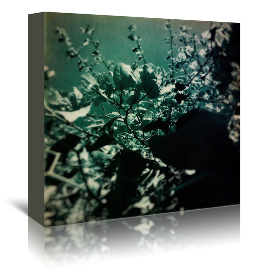 Green Poem by Atelier Posters - Wrapped Canvas