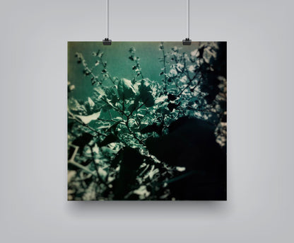 Green Poem by Atelier Posters - Art Print