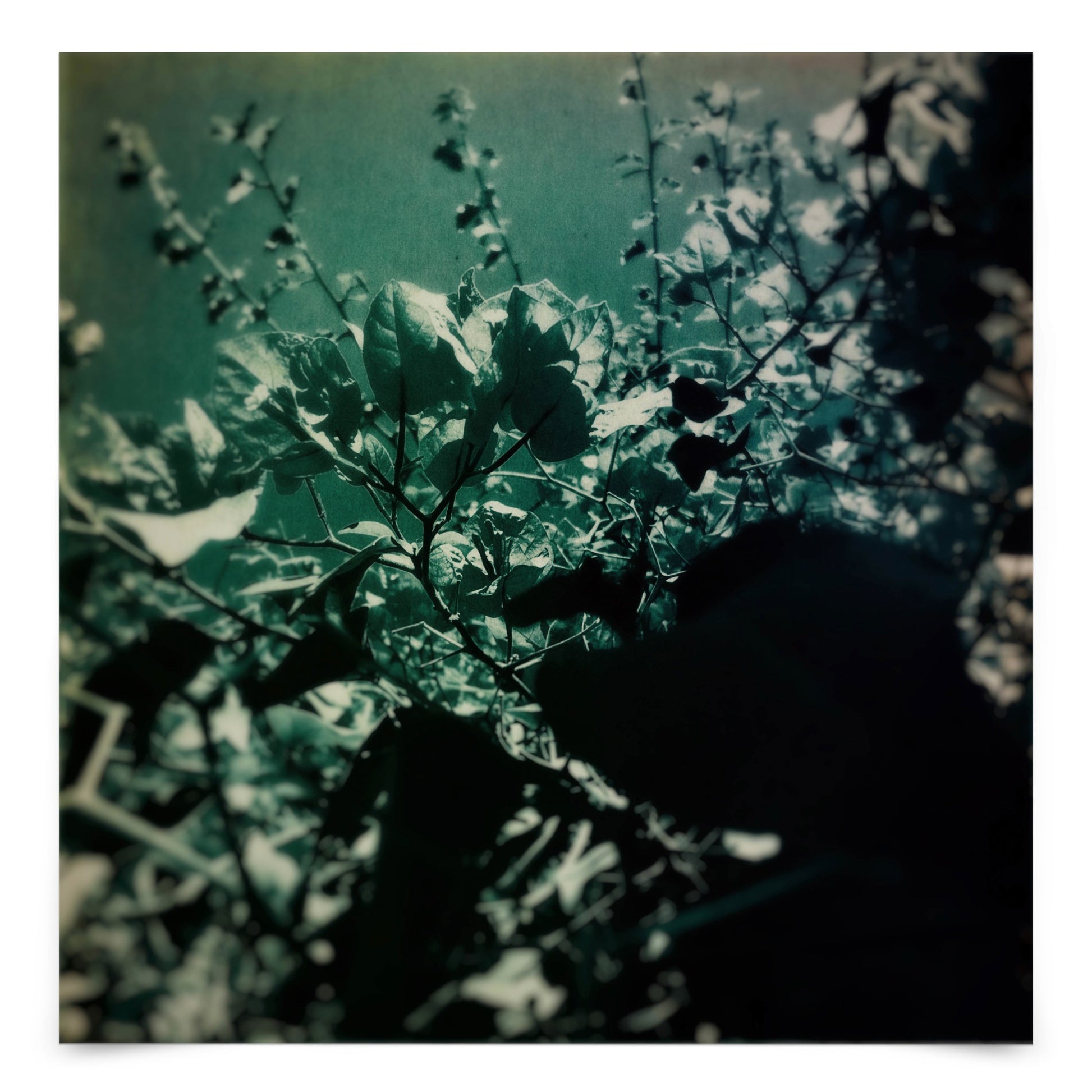 Green Poem by Atelier Posters - Art Print