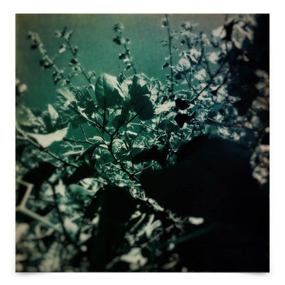 Green Poem by Atelier Posters - Art Print