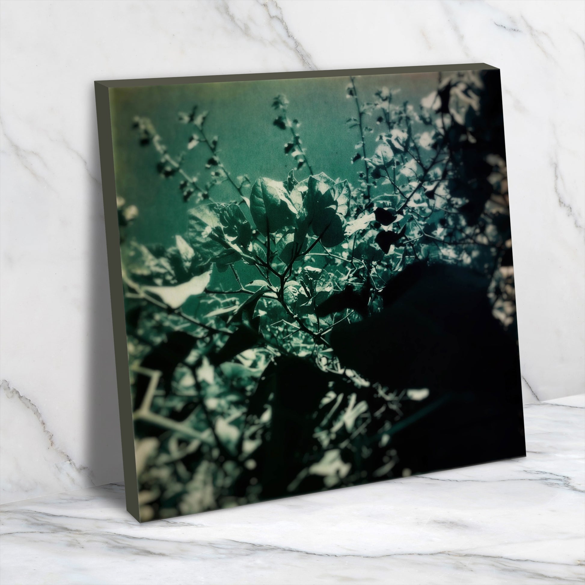Green Poem by Atelier Posters - Wrapped Canvas