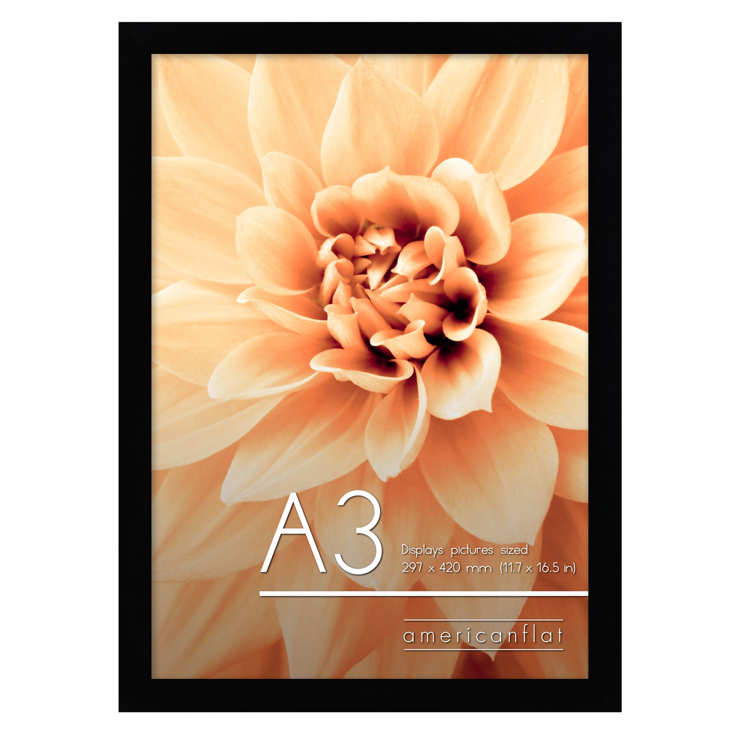 A-Sized Picture Frame (A2, A3, A4, A5) | Choose Size and Color