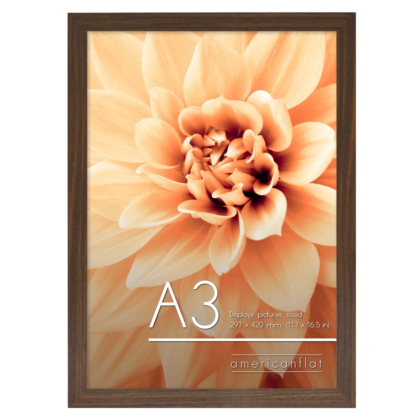 A-Sized Picture Frame (A2, A3, A4, A5) | Choose Size and Color