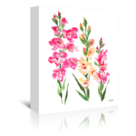 Gladiolus Watercolor by Michelle Mospens - Canvas, Poster or Framed Print