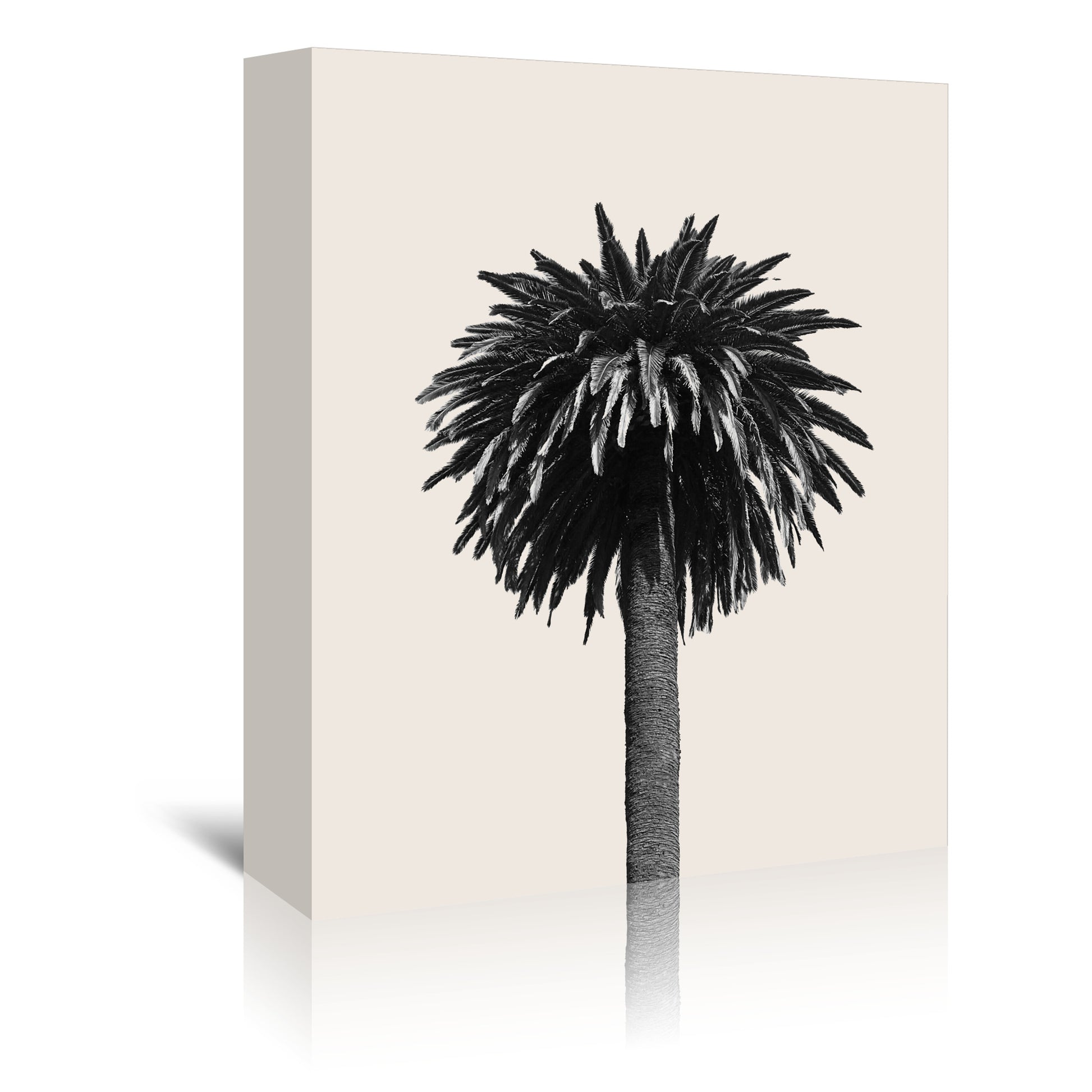 Palm Tree On Beige Background by Thomas Succes - Canvas, Poster or Framed Print