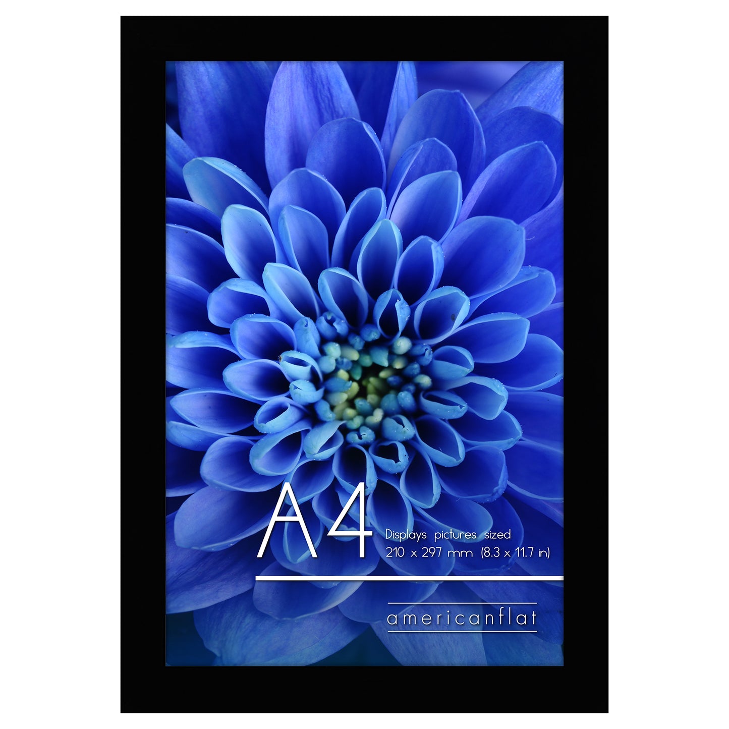 A-Sized Picture Frame (A2, A3, A4, A5) | Choose Size and Color