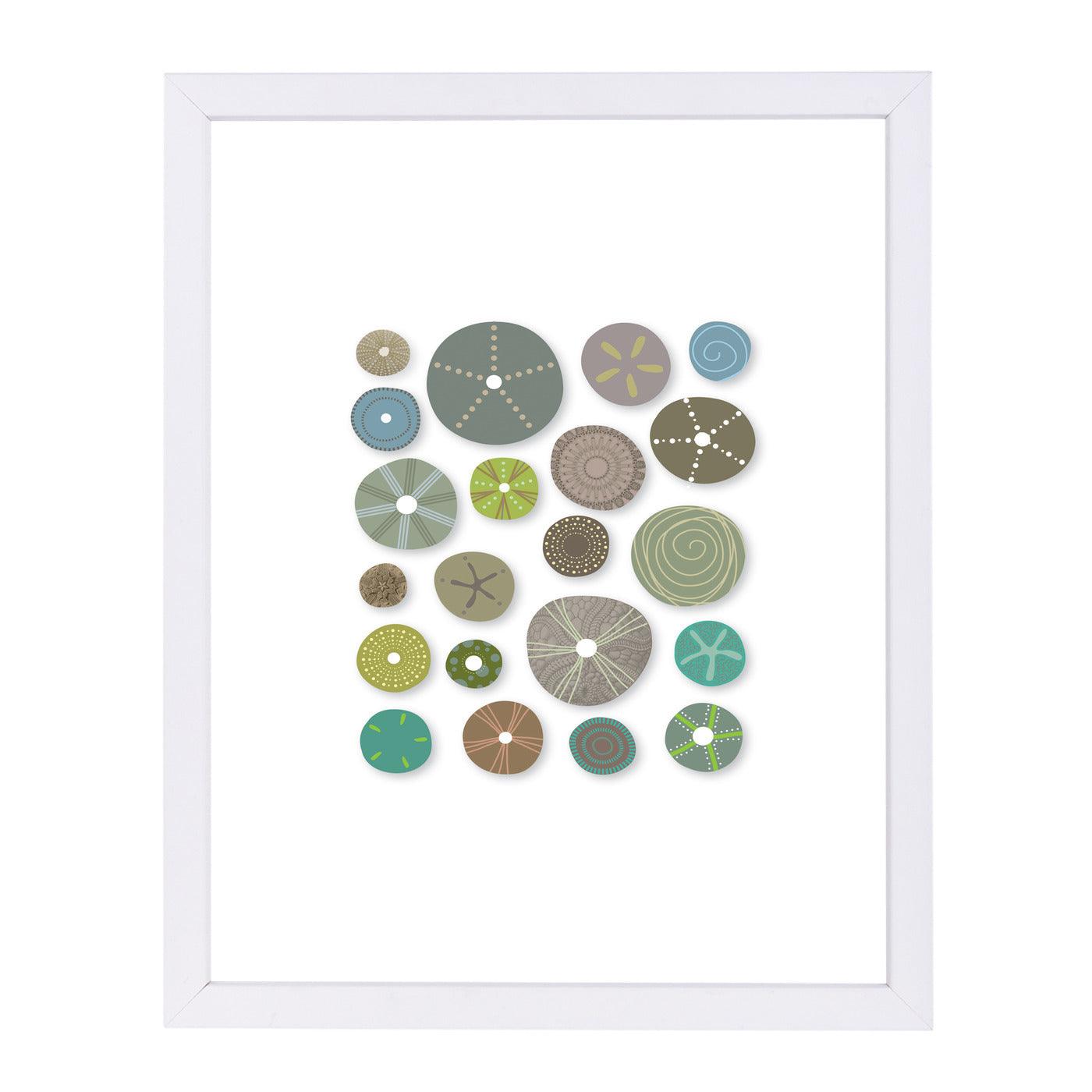 Sea Urchins 2 by Visual Philosophy Framed Print - Americanflat
