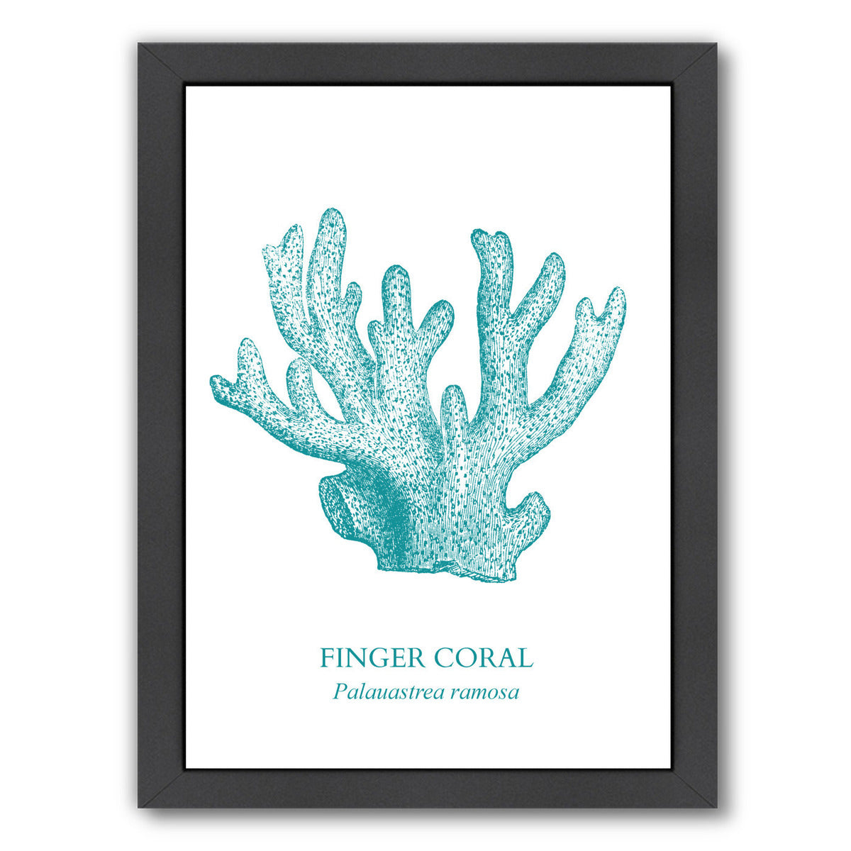 Coral by Samantha Ranlet Framed Print - Americanflat