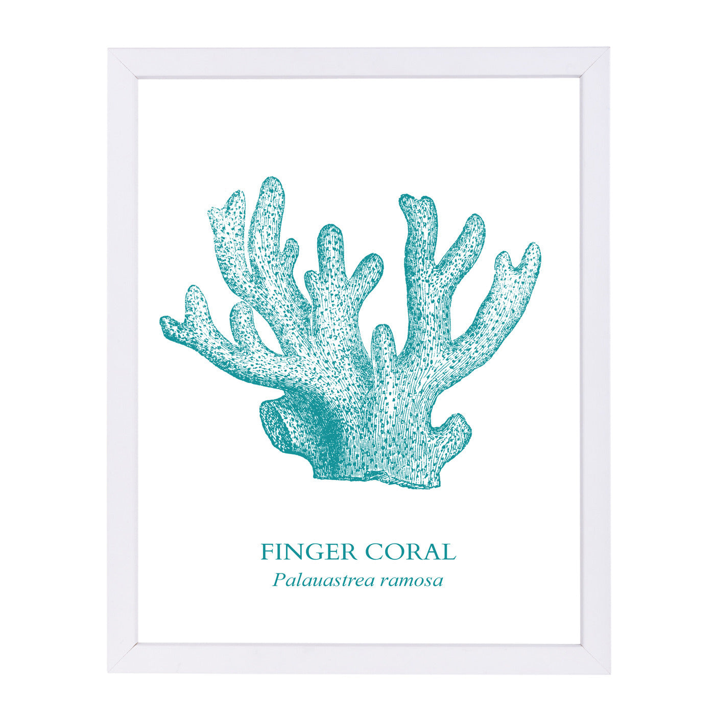 Coral by Samantha Ranlet Framed Print - Americanflat
