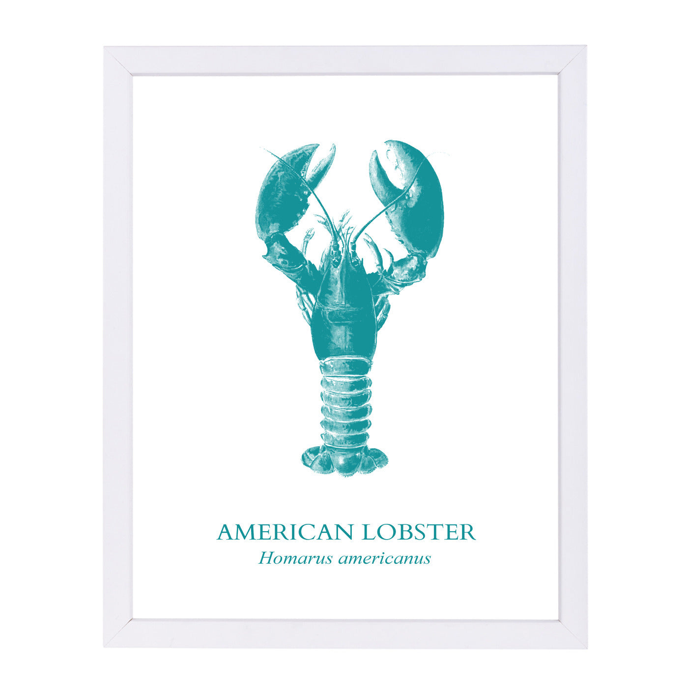 Lobster by Samantha Ranlet Framed Print - Americanflat