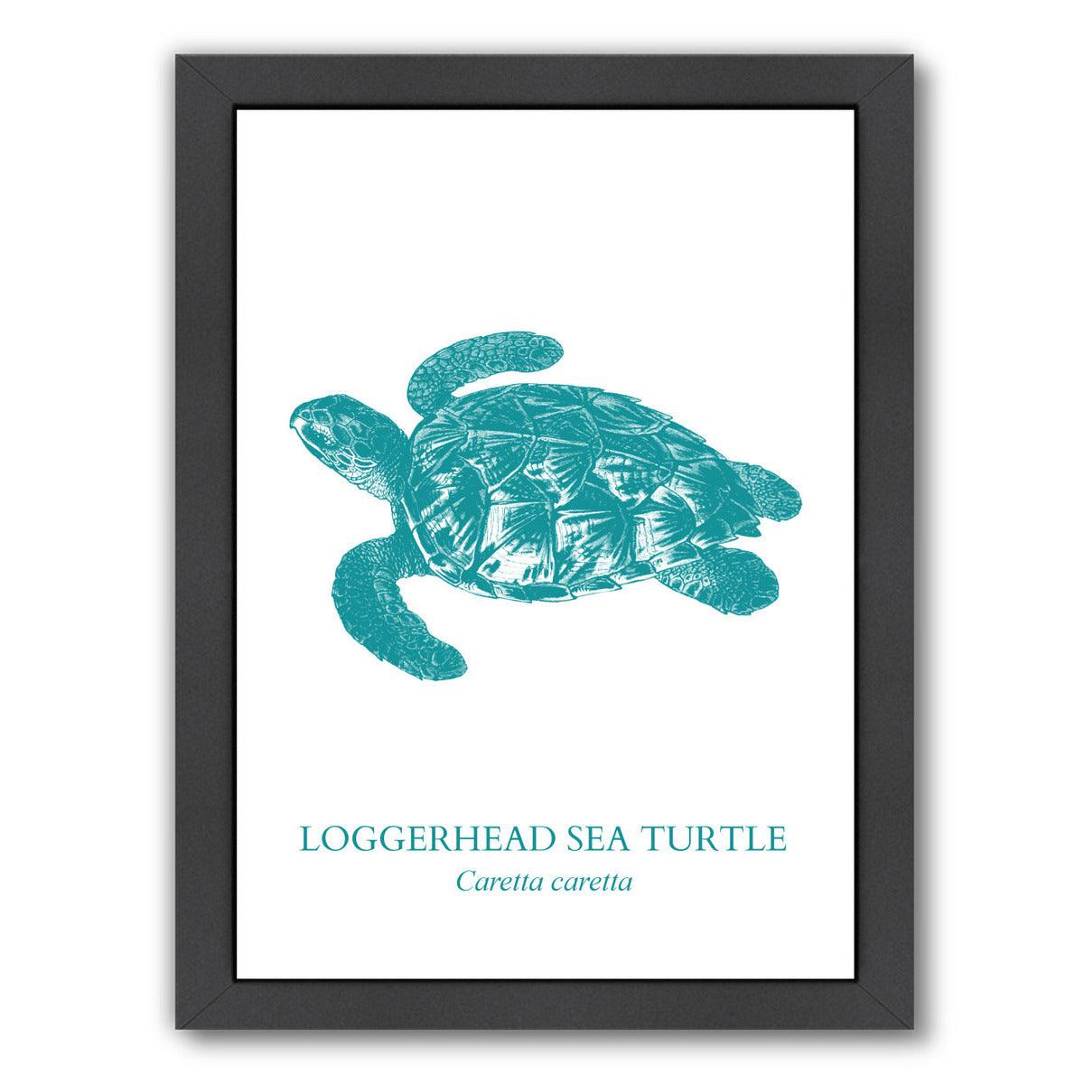 Sea Turtle by Samantha Ranlet Framed Print - Americanflat