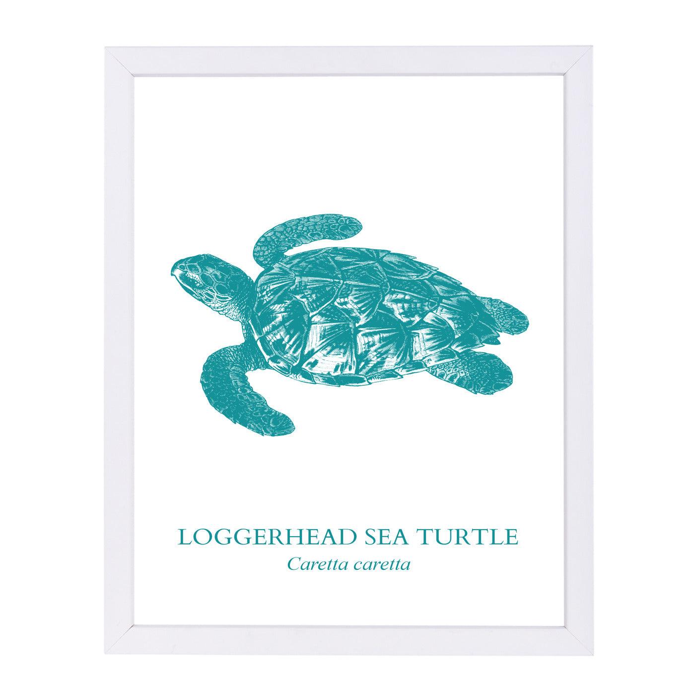 Sea Turtle by Samantha Ranlet Framed Print - Americanflat