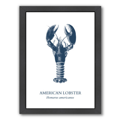 Lobster Sea by Samantha Ranlet Framed Print - Americanflat