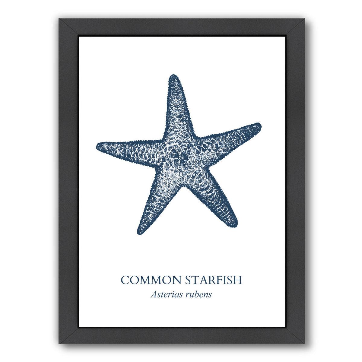 Starfish Sea by Samantha Ranlet Framed Print - Americanflat