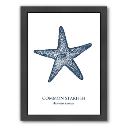 Starfish Sea by Samantha Ranlet Framed Print - Americanflat