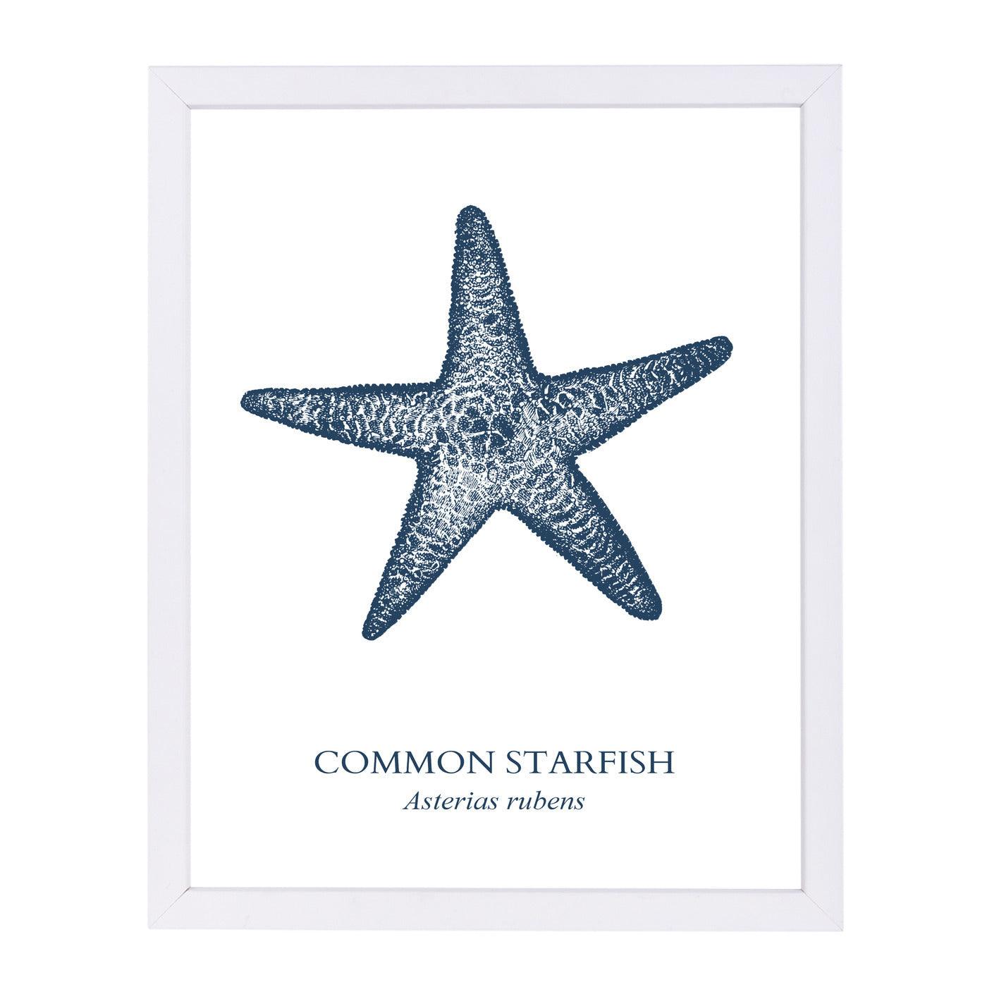Starfish Sea by Samantha Ranlet Framed Print - Americanflat