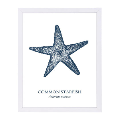 Starfish Sea by Samantha Ranlet Framed Print - Americanflat