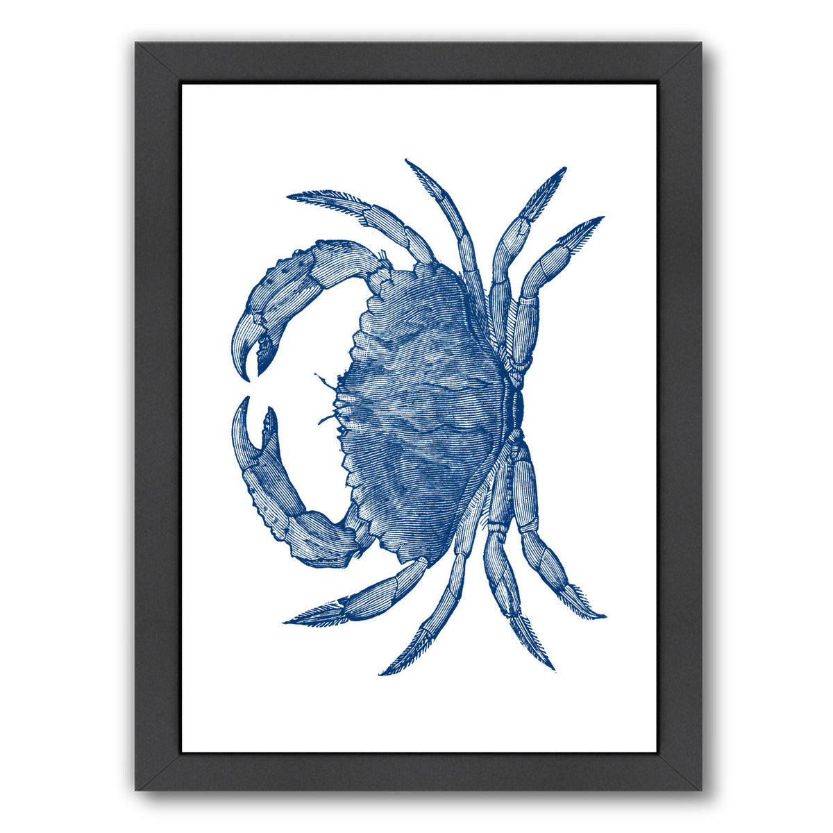Crab Quad 3 by Samantha Ranlet Framed Print - Americanflat
