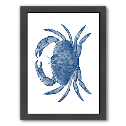 Crab Quad 3 by Samantha Ranlet Framed Print - Americanflat