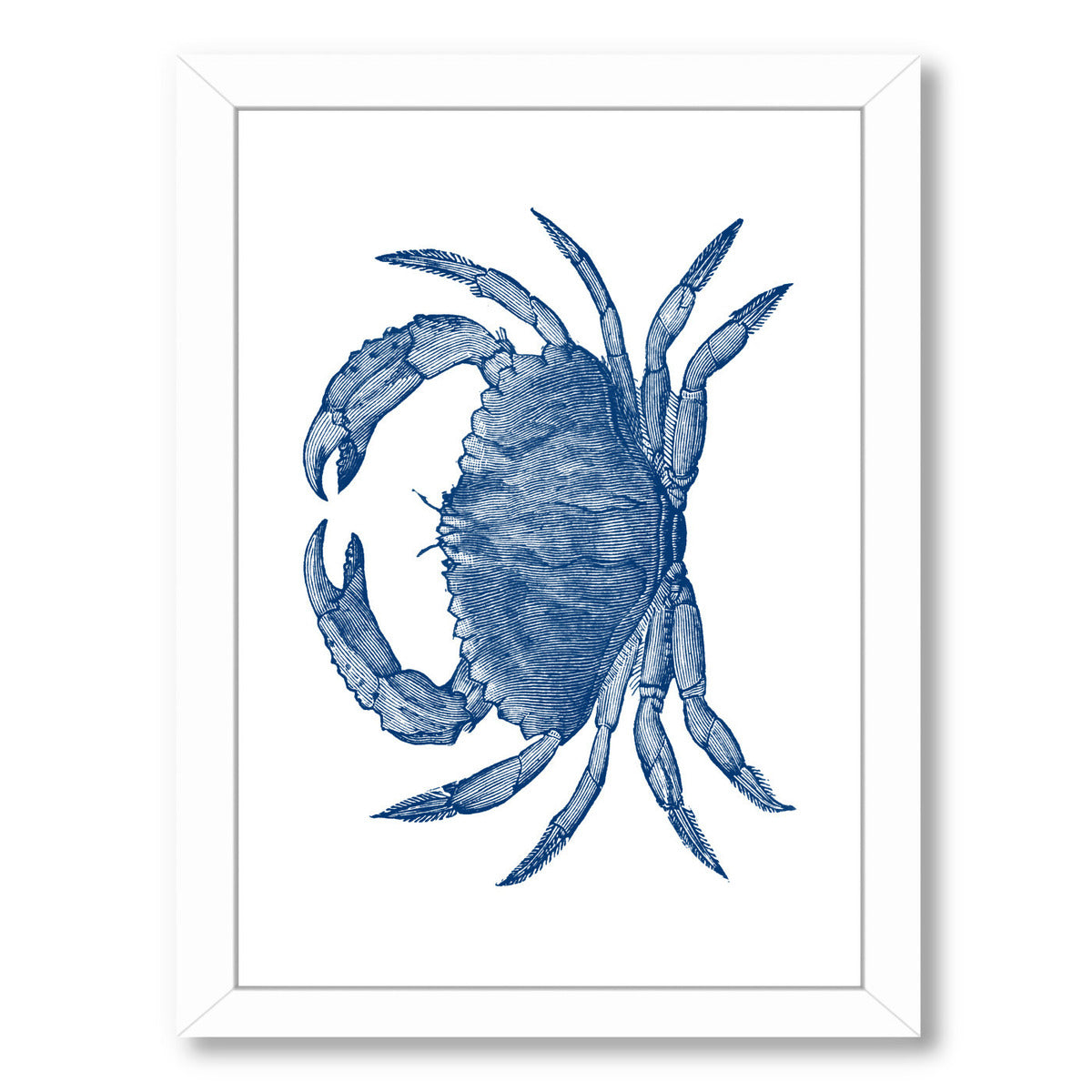 Crab Quad 3 by Samantha Ranlet Framed Print - Americanflat