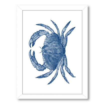Crab Quad 3 by Samantha Ranlet Framed Print - Americanflat