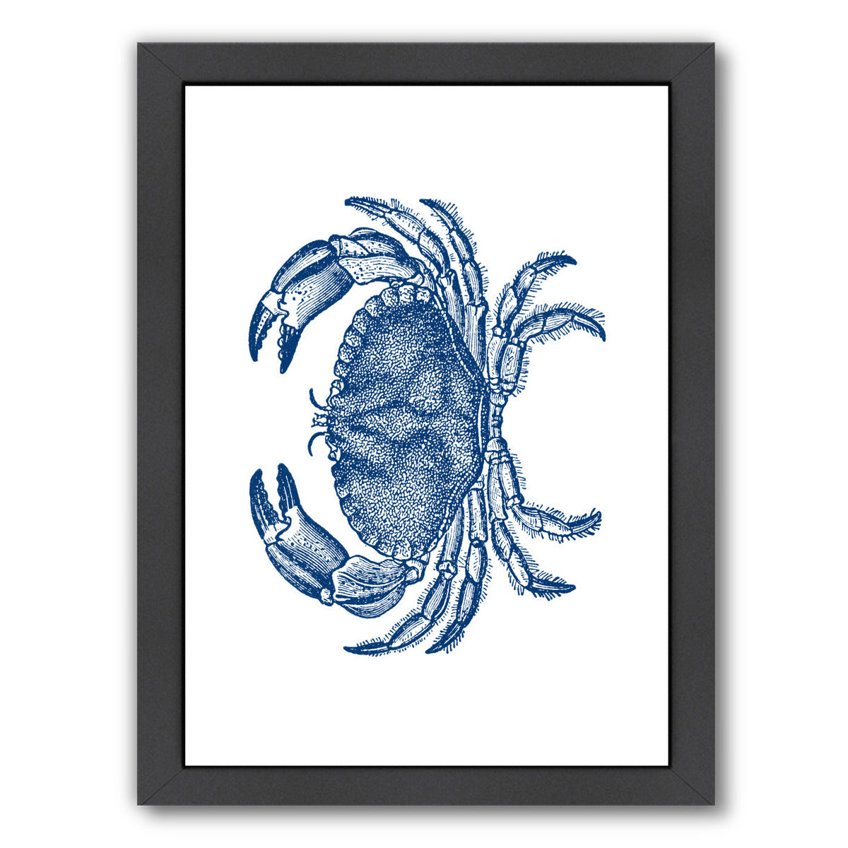 Crab Quad 4 by Samantha Ranlet Framed Print - Americanflat